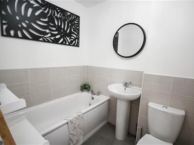 Picture 12